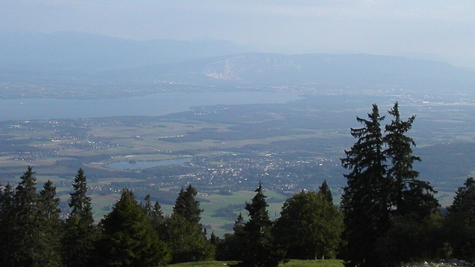 Geneva 1