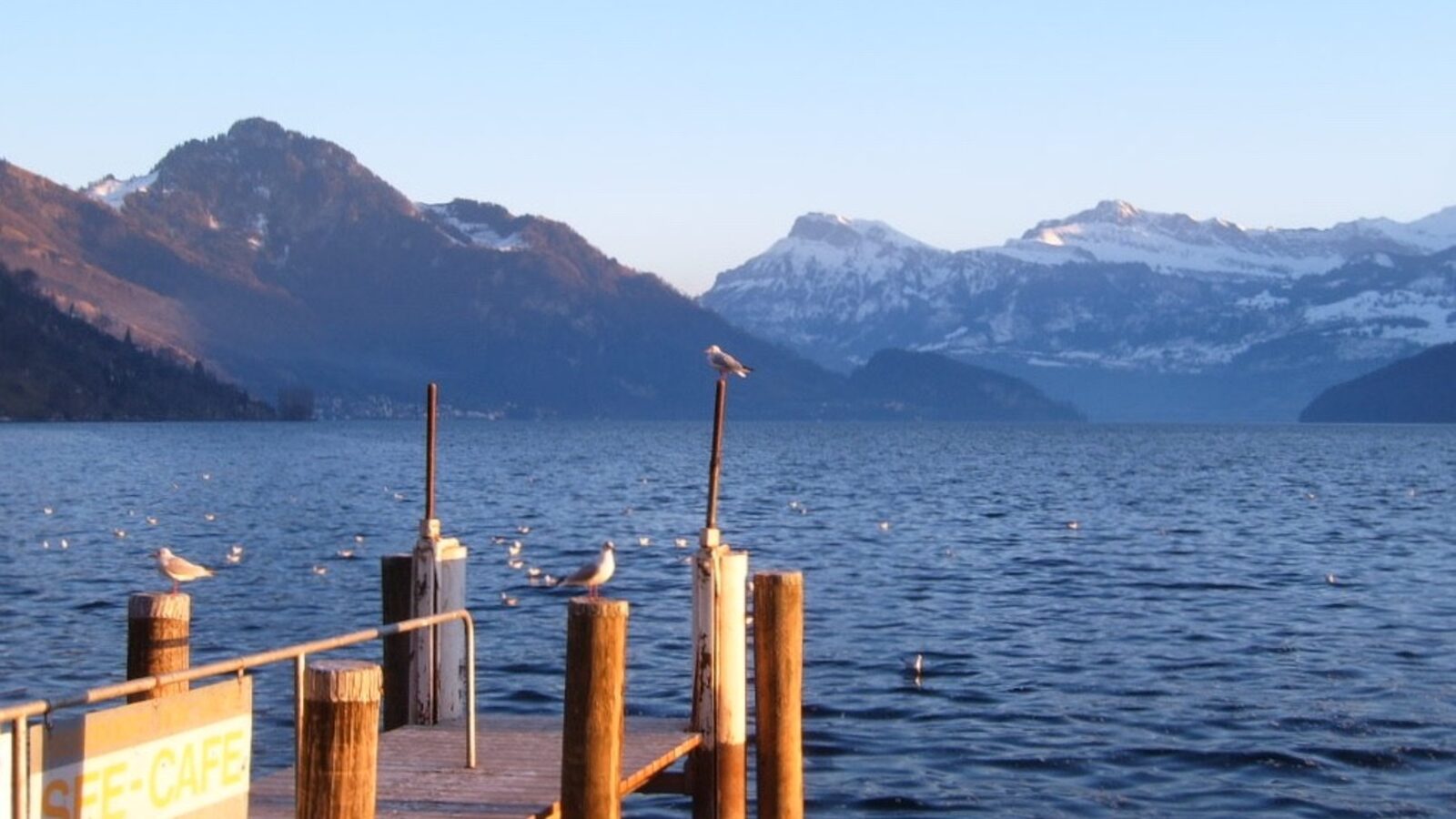 Lucerne 1