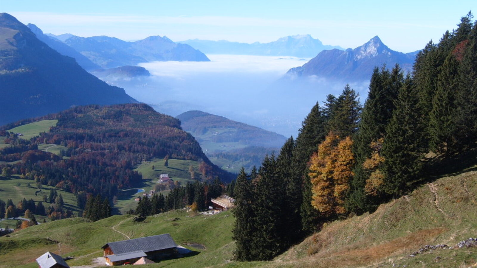Schwyz 1