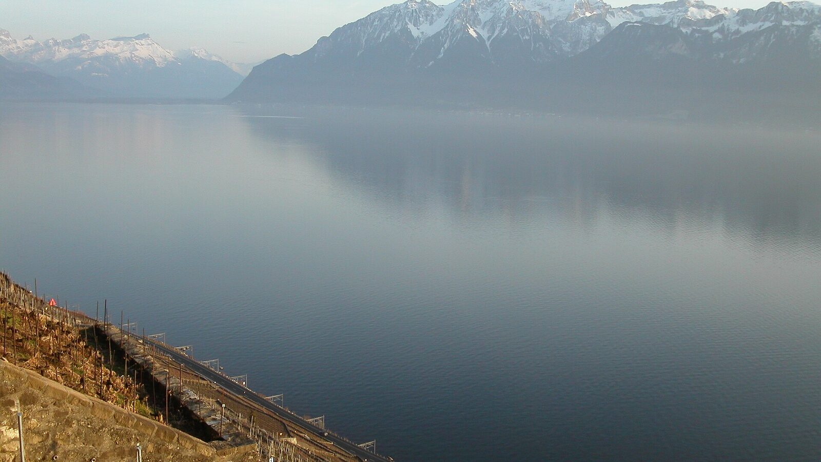Vaud 1