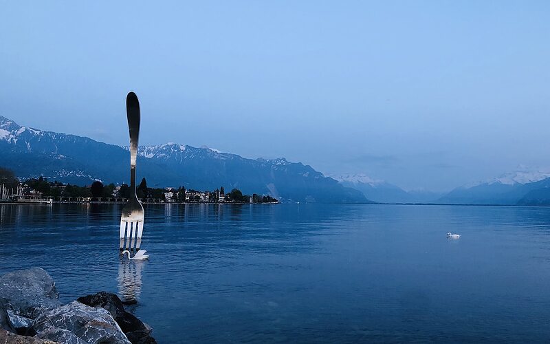 جولات وأنشطة في Vevey